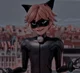 Chat Noir