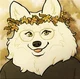 Samoyed furry Mom