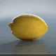 lemon cult member