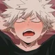 Bakugou 