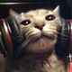 Gamer cat