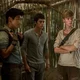 The Maze Runner
