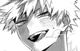 Katsuki Bakugo x yn