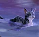 Jayfeather