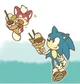 Sonic and chip