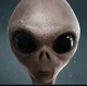 Aliens