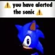 Alerted the sonic