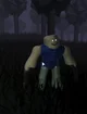 RakOOF
