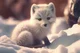 arctic fox cub