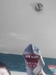 Shark Puppet