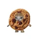 Cookie cat