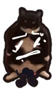Plump cat