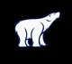 Nelvana polar bear