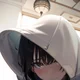 Tori