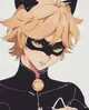 Chat noir 