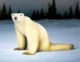 Polar Bear 2026