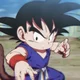 Goku kid