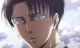 Levi Ackerman 