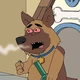 Bullet the dog 