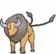 Tauros Dad
