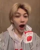 Skz Apple Orchard 