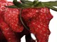 strawberry elephant