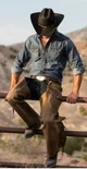 Cowboy 