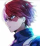 Shoto todoroki 