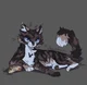 Hawkfrost