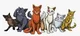 Warrior cats rp