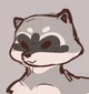 Racoon Roomie