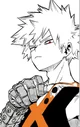 Bakugo katsuki 
