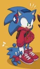 Sonic the hedgehog