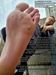 Jay -Giant