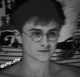 Potter
