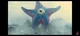 Starro The Conqueror