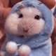 Cold hamster