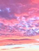 Pink Clouds