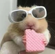 Cookie hamster