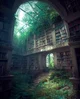 Abandoned Library