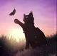 Crowfeather