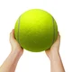 tennis ball sim