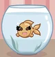 Gia The Goldfish