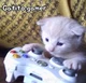 Gatito gamer