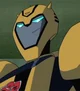 Bumblebee TFA