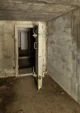 The basement monster