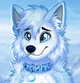 Kitcune the icefox
