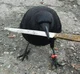 crow 
