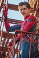 Tom Holland 