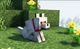Minecraft wolf